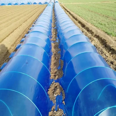 Application Of Fiberglass Garden Stake 